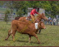 2NODS 0711
